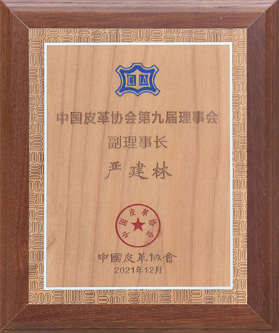 第九屆理事會副理事長