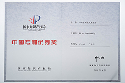 中國專利優(yōu)秀獎